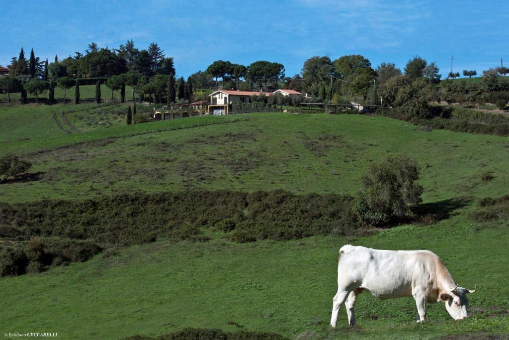 Agriturismo Valle Siriaca Castelnuovo Di Porto ภายนอก รูปภาพ